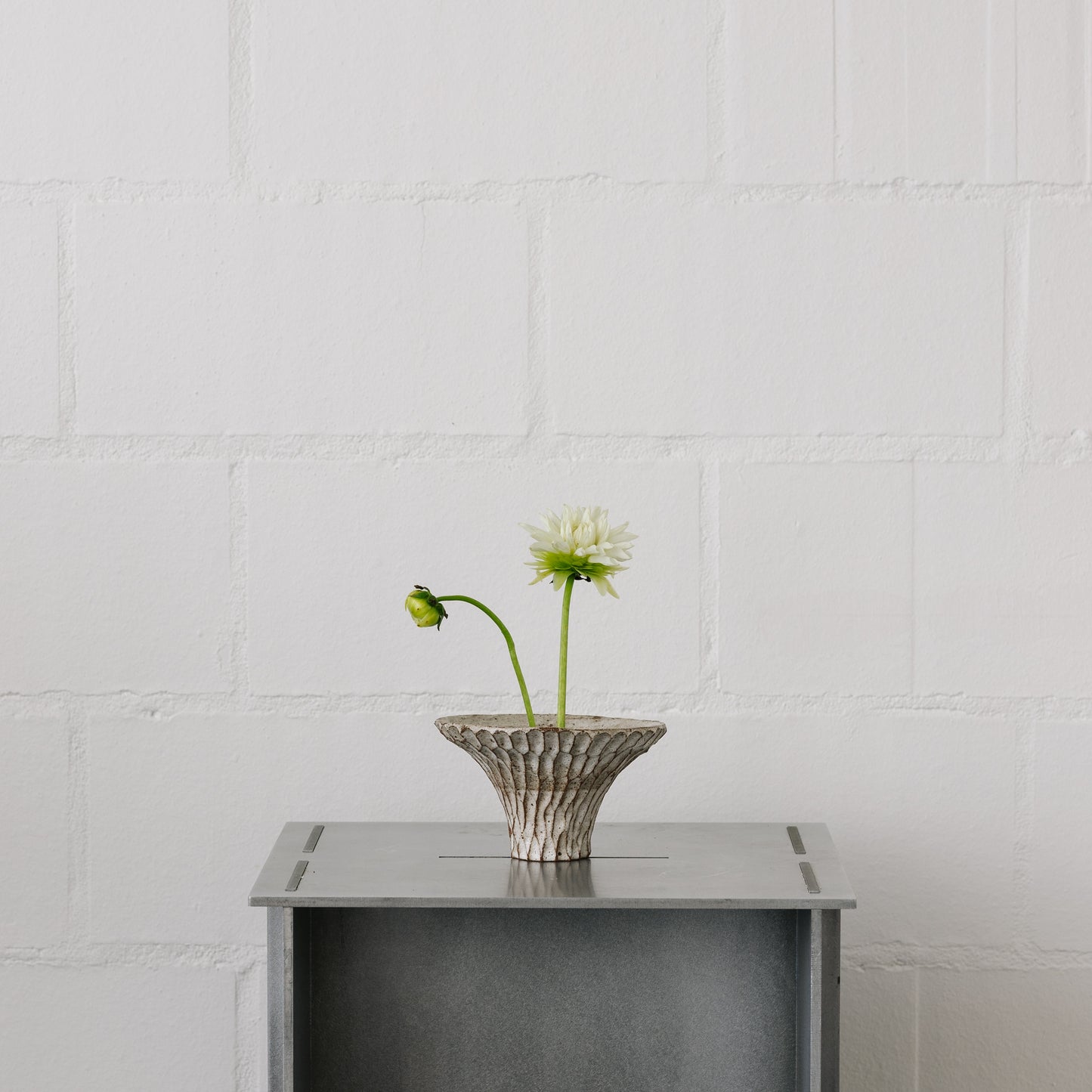 Ren Bowl - cacao/white