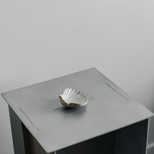 Shell Dish