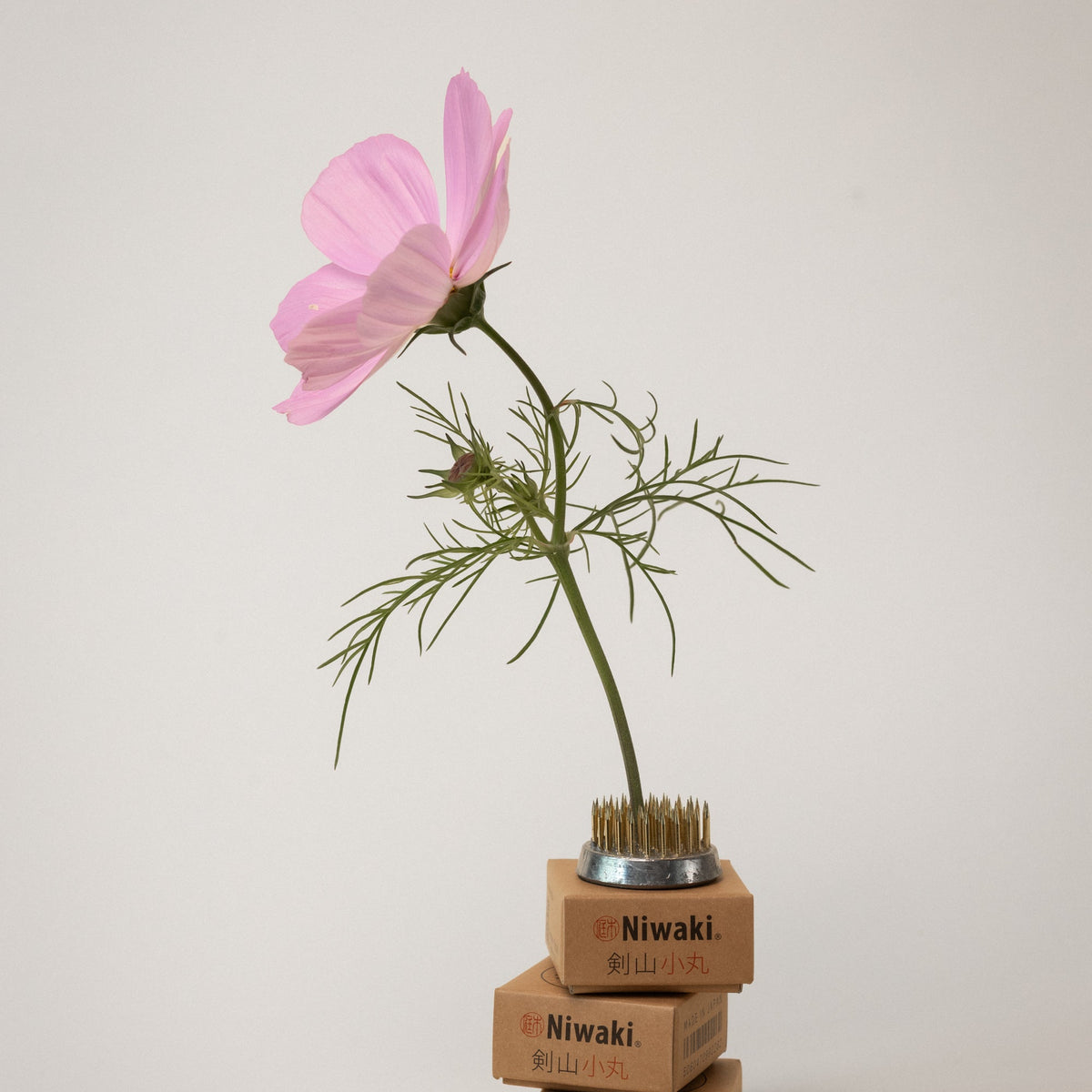 Niwaki Kenzan Flower Frog - Small