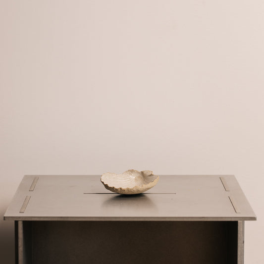Kai Ceramic Shells - Sand