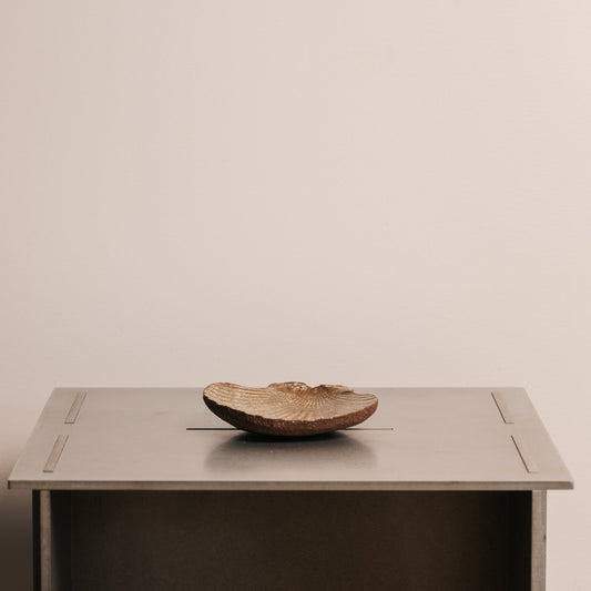 Kai Ceramic Shell - Rye