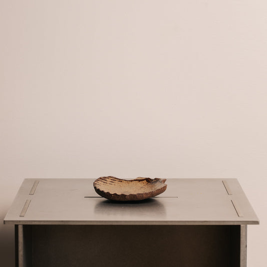 Kai Ceramic Shells - Amber