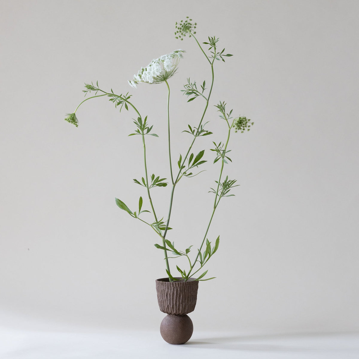 Vera Vessel - Cacao Small